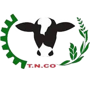 تلیسه